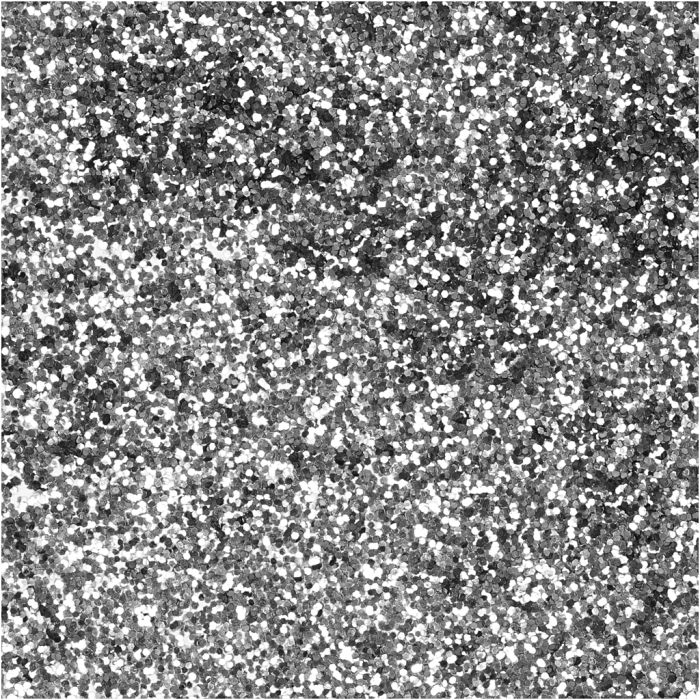 Biopaillettes, d 0,4 mm, argent, 10 gr/ 1 boîte