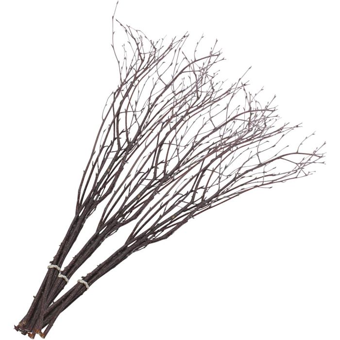 Branches de bouleau, L : 50-60 cm, 20 pièces/ 1 Pq.