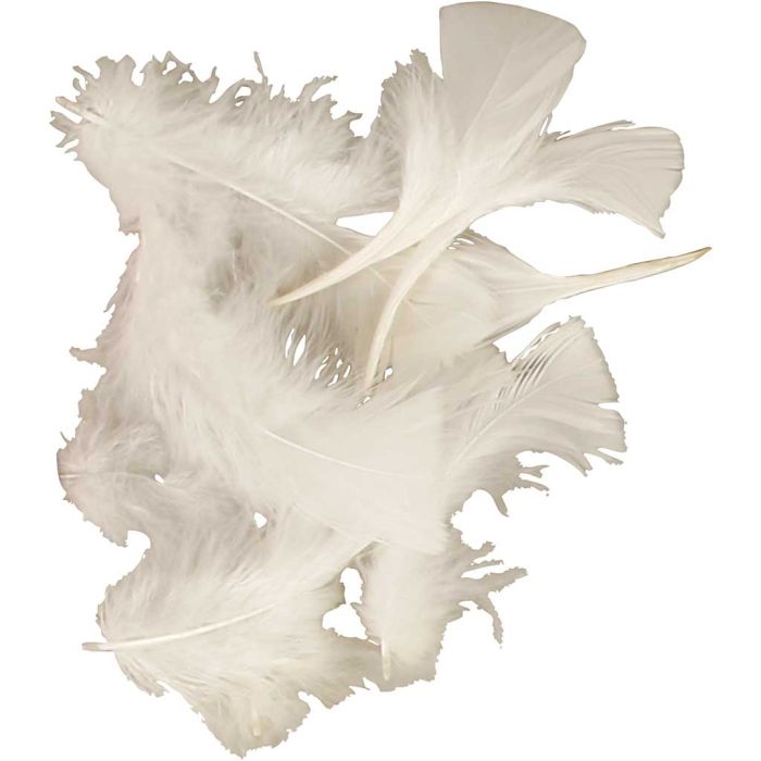 Duvet, dim. 7-8 cm, ca. 375 pièce, blanc, 50 gr/ 1 Pq.