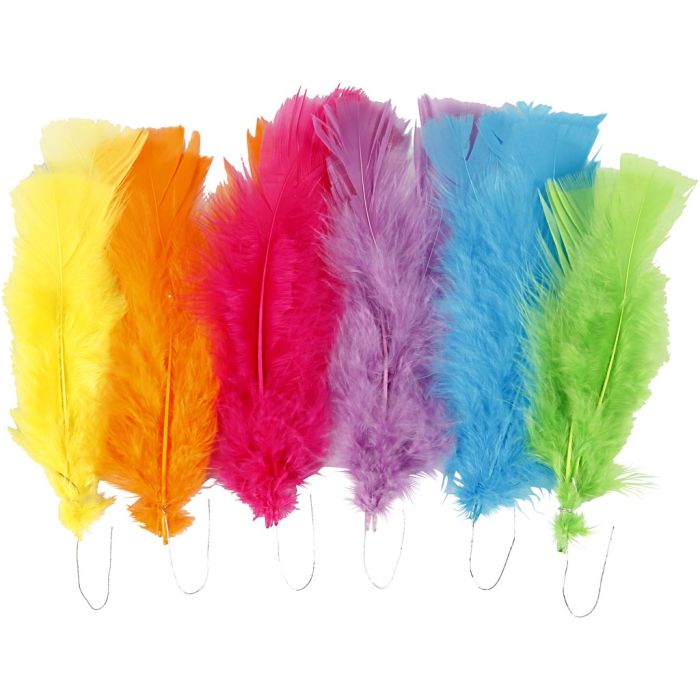 Plumes, dim. 11-17 cm, ass. de couleurs, 18 boule/ 1 Pq.