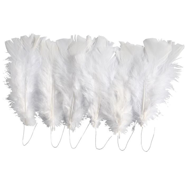 Plumes, dim. 11-17 cm, blanc, 18 boule/ 1 Pq.