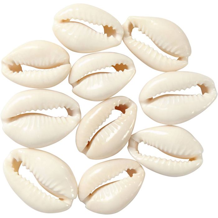 Coquillage, L : 20 mm, 12 pièces/ 1 Pq.