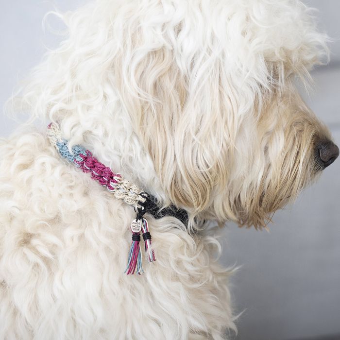 Collier pour chien, crocheté