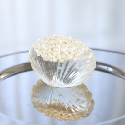 Coquille en bior&eacute;sine transparente avec perles