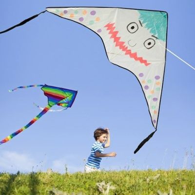 Un cerf-volant en nylon d&eacute;cor&eacute; avec des marqueurs pour textile