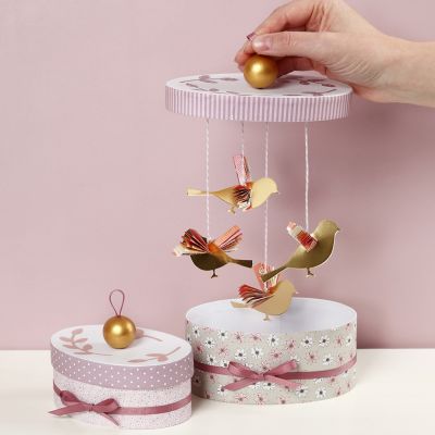Un cadeau en argent dans une boîte avec une surprise dans le couvercle
