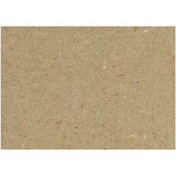 Carton