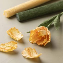 Papier Cr&eacute;pon, feuille 25x60 cm, Cr&ecirc;p&eacute; &agrave; 180%, 105 gr, vert citron, 4 flles/ 1 Pq.