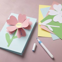 Papier cartonné de couleur