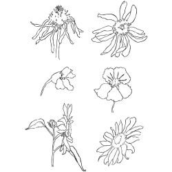 Tampons transparents, &eacute;t&eacute;, feuille 11x15,5 cm, 1 flles