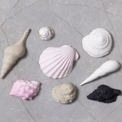 Moule en silicone, Conques et coquillages, H : 1 cm, L : 1-2,8 cm, 1 pi&egrave;ce