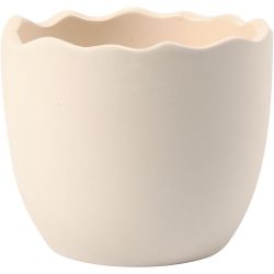 Coquille d'oeuf