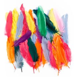 Plumes, L : 12-15 cm, ass. de couleurs, 350 pi&egrave;ces/ 1 Pq.