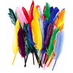Plumes, L : 17-20 cm, 250 pi&egrave;ces/ 1 Pq.