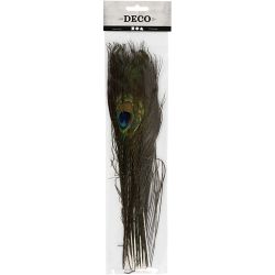 Plumes de paon, L : 25-30 cm, 10 pi&egrave;ces/ 1 Pq.
