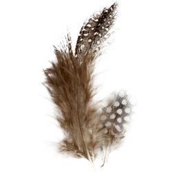Plumes de pintade, ca. 100 pi&egrave;ce, brun, 3 gr/ 1 Pq.