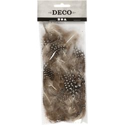 Plumes de pintade, ca. 100 pi&egrave;ce, brun, 3 gr/ 1 Pq.