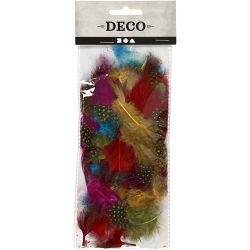 Plumes de pintade