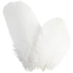 Plumes d'oies - rond, L : 5-8 cm, ca. 70 pi&egrave;ce, blanc, 3 gr/ 1 Pq.