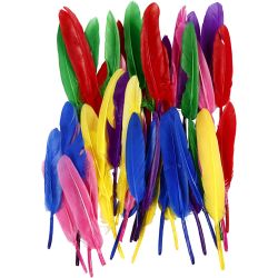 Plumes, L : 13 cm, ass. de couleurs, 48 pi&egrave;ces/ 1 Pq.