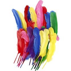 Plumes, L : 20 cm, ass. de couleurs, 36 pi&egrave;ces/ 1 Pq.