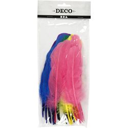 Plumes, L : 20 cm, ass. de couleurs, 36 pi&egrave;ces/ 1 Pq.