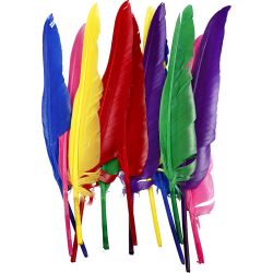 Plumes, L : 27 cm, ass. de couleurs, 12 pi&egrave;ces/ 1 Pq.