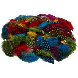 Plumes de pintade, ca. 1500 pi&egrave;ce, ass. de couleurs, 50 gr/ 1 Pq.