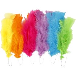 Plumes, dim. 11-17 cm, ass. de couleurs, 18 boule/ 1 Pq.