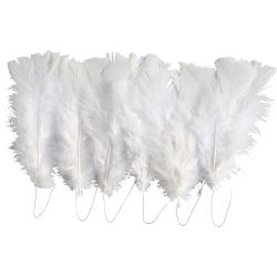 Plumes, dim. 11-17 cm, blanc, 18 boule/ 1 Pq.