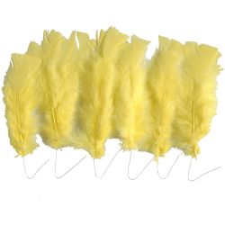 Plumes
