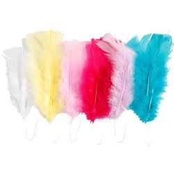 Plumes