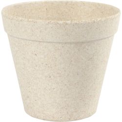 Pot de fleurs