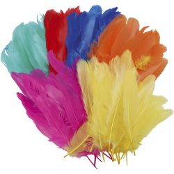 Plumes, L : 8-14 cm, ass. de couleurs, 120 pi&egrave;ces/ 1 sac