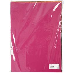 Feuille de Mousse