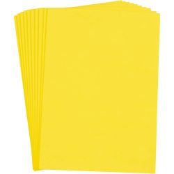 Feuille de Mousse
