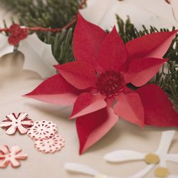 Pack d&eacute;coupage, No&euml;l, naturel, rouge, blanc, 1 Pq.