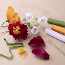 Kit de D&eacute;marrage DIY Papier Cr&eacute;pon, ass. de couleurs, 1 Pq.