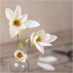 Mini Kit DIY Papier Cr&eacute;pon, Branche de magnolia, Cr&ecirc;p&eacute; &agrave; 180%, 1 Pq.