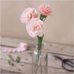 Mini Kit DIY Papier Cr&eacute;pon, &OElig;illets, Cr&ecirc;p&eacute; &agrave; 180%, 105 gr, 1 Pq.