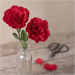 Mini Kit DIY Papier Cr&eacute;pon, Roses, Cr&ecirc;p&eacute; &agrave; 180%, 105 gr, 1 Pq.