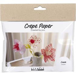 Mini Kit DIY Papier cr&eacute;pon, Fleurs, couleurs pastel, 1 Pq.