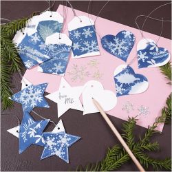 Mini Kit DIY Cyanotype