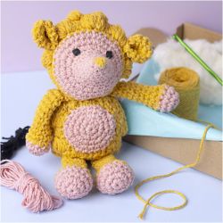 Kit DIY Amigurumi